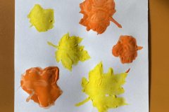 554219667_1299790485274647_7275845543609365558_n