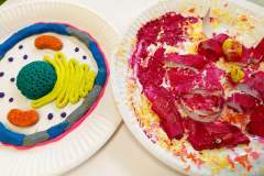 received_568030541466434