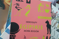 275065993_385375272951632_1533456326560918365_n