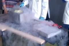 received_2668920549866702