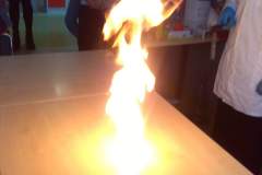 received_2731191653640145