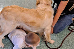 286328266_1097594487459299_523291894842850656_n