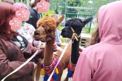 286363658_1097593504126064_4078820118220901037_n