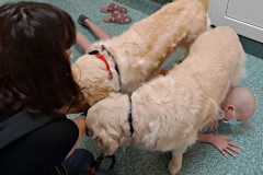 286368211_1097594534125961_7578376780424175556_n