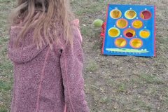 6b6db7f7-e03f-41fd-b649-6e15cba850d2