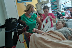 7a049d4d-a5c8-4b01-9e93-b7cf6f689e50