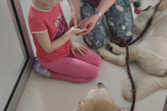 9c15eeed-d148-4955-abcd-a42b434febc3