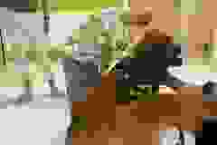 447410328_951635346756831_5955622200915912764_n