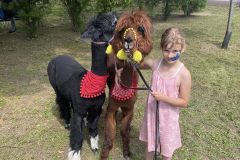 447693250_951638773423155_3916152359230053118_n