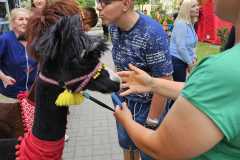 447710005_951642226756143_2467056334411958349_n