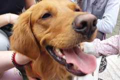 447878832_951642330089466_2478116961324394345_n