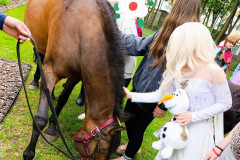 502690304_1215150980405265_4110604144698049862_n