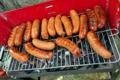 381670919_593904229609912_9217977754256311286_n