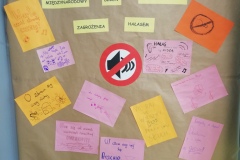 IMG_20190430_113208_resized_20190430_063821370