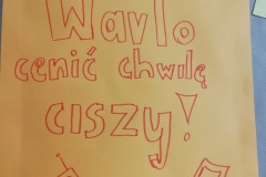 IMG_20190430_113239_resized_20190430_063822108