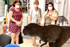 285973627_1407298433072229_3556585306911635757_n