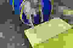 453724069_987532746500424_8003520541064695617_n