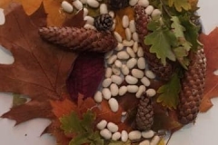 244764475_957962941422455_7513300213515999405_n