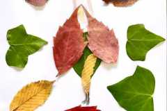 250650362_968245160394233_7398958628559481193_n