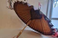 473222514_2646587409064617_3581918000060334949_n