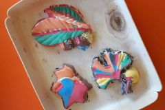 Resized_Screenshot_20201005-202438