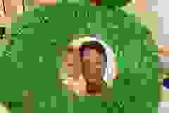 461170508_1025876065999425_3329084585287570195_n