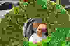 461200210_1025876719332693_6040166317950868891_n