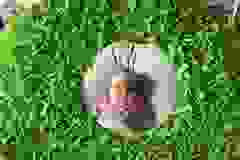 461258507_1025876242666074_7163063693538865421_n