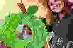 461421275_1025877232665975_3140675642617439441_n