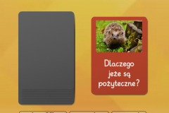 1668086779739