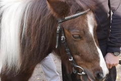 73361239_499676357251118_742692797160620032_n