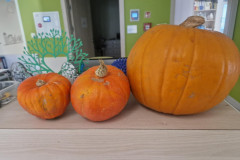 552506646_1300425665211129_2894066744098494081_n