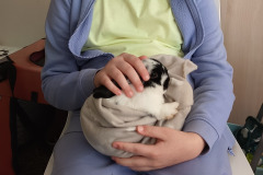 552680185_1300424378544591_9064419154520661736_n