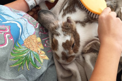 553464046_1300424338544595_4102752222614114238_n