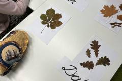 384541950_1383096208944706_4747320742197667727_n