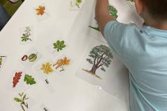 384545822_206565378987670_196827826437290974_n