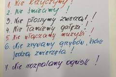 384547649_705241348175627_5765868435888802113_n