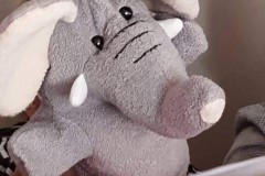 245657984_201700315314870_9215430822664395106_n