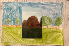 312799643_653293436194226_8707190775329253972_n