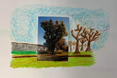 312928873_1316233162543329_816737140444715384_n