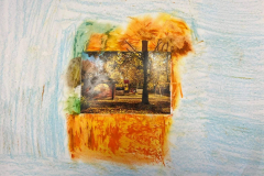 312996550_799472051108821_1863016563071952509_n