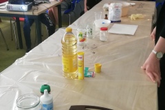 IMG_20190523_124724_resized_20190523_052621344