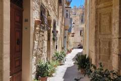 FB_IMG_1661768931817-1