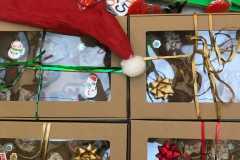 265041230_990006254884790_4113248465422028973_n