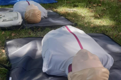 2f94a572-6d80-4d0f-8249-7052084bf1bb