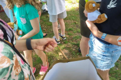 510977564_625732293871999_941241236929365932_n