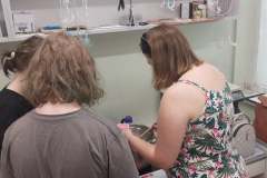 201156075_1535468280289251_9172891347657229464_n