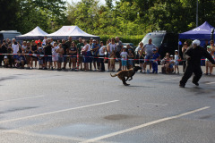 376849328_699631158869925_9091209935396404985_n