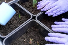 IMG_20190312_132105_resized_20190312_050702847