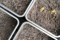 IMG_20190312_132140_resized_20190312_050701181